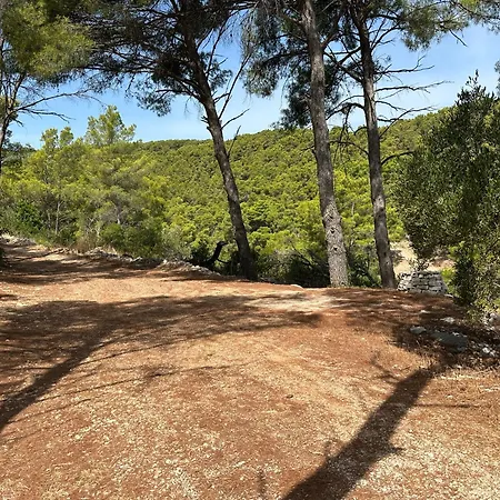 Hébergement de vacances House Neli Srednje Selo na Šolti